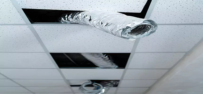 Our Air Duct Pet Hair Removal Services in North Chicago, IL