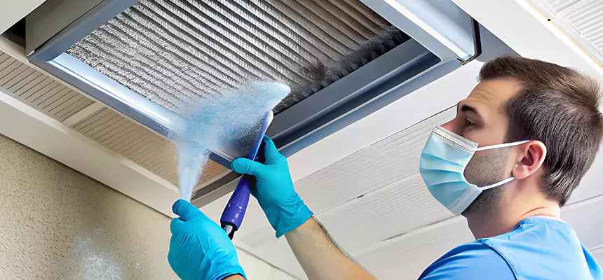 Proactive Dryer Vent & Auxiliary Duct Pollen Cleanup in North Chicago, IL