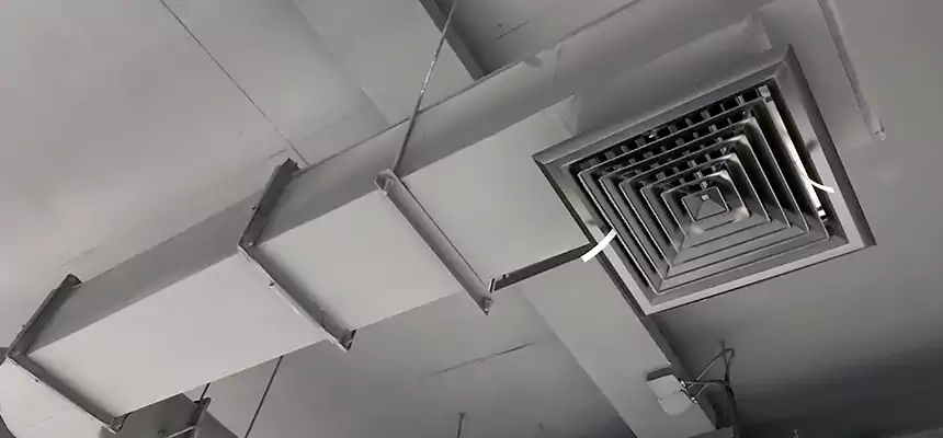 Our Pest Removal From Ducts Services in North Chicago, IL