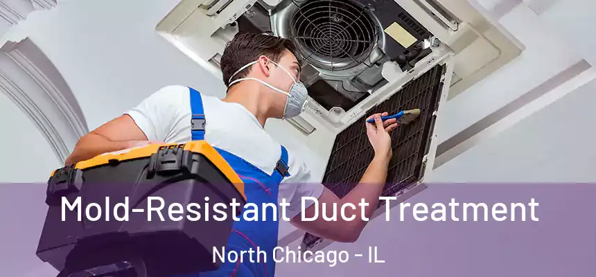  Mold-Resistant Duct Treatment North Chicago - IL