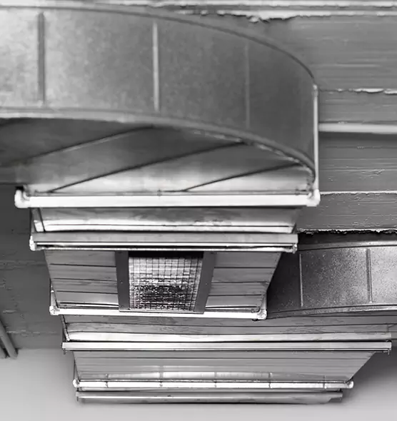 Professional Air Duct Pest Removal in North Chicago, IL