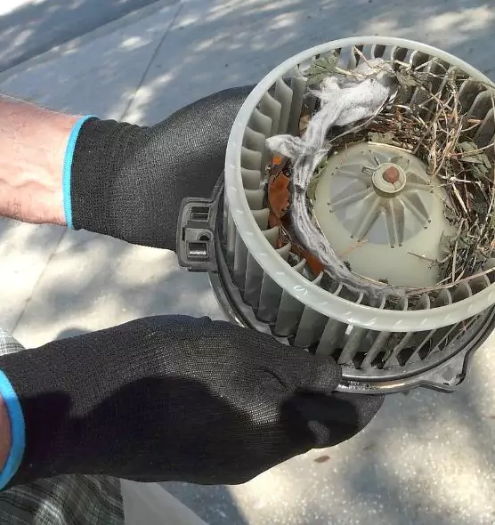 About Air Duct Rat Removal in North Chicago, IL