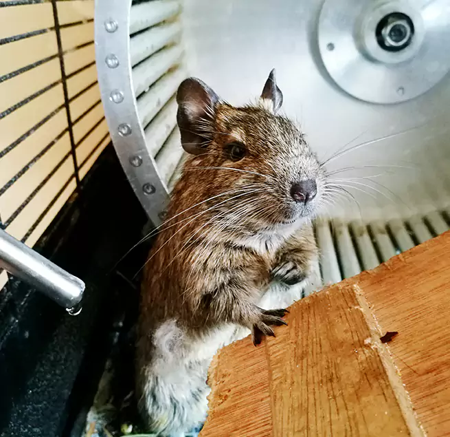 Why Homeowners & Businesses Trust Us North Chicago, IL?