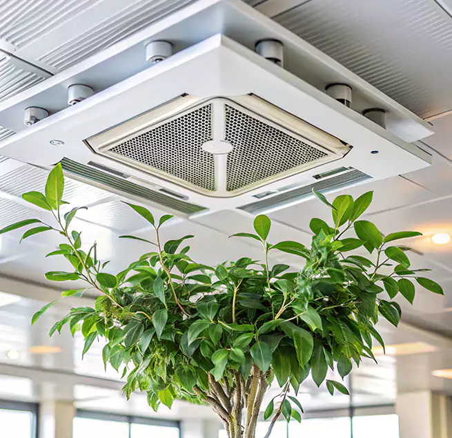 Why Homeowners & Businesses Trust Us in North Chicago, IL?